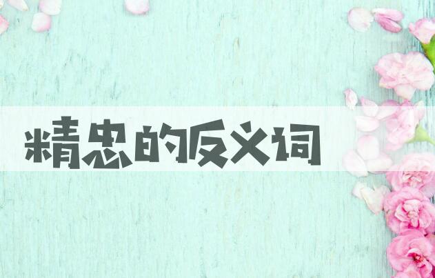 用精忠造句