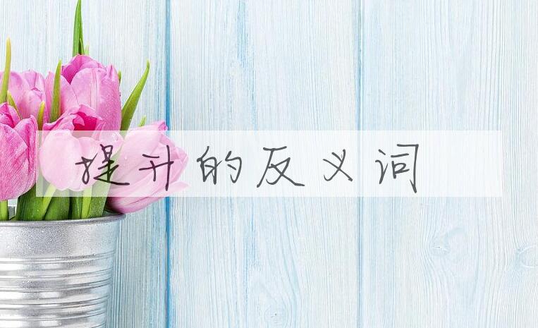 用提升造句