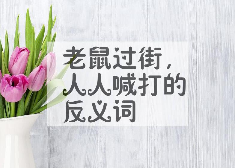 用老鼠过街，人人喊打造句