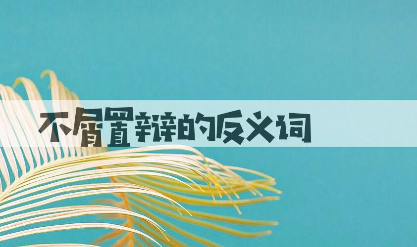 用不屑置辩造句