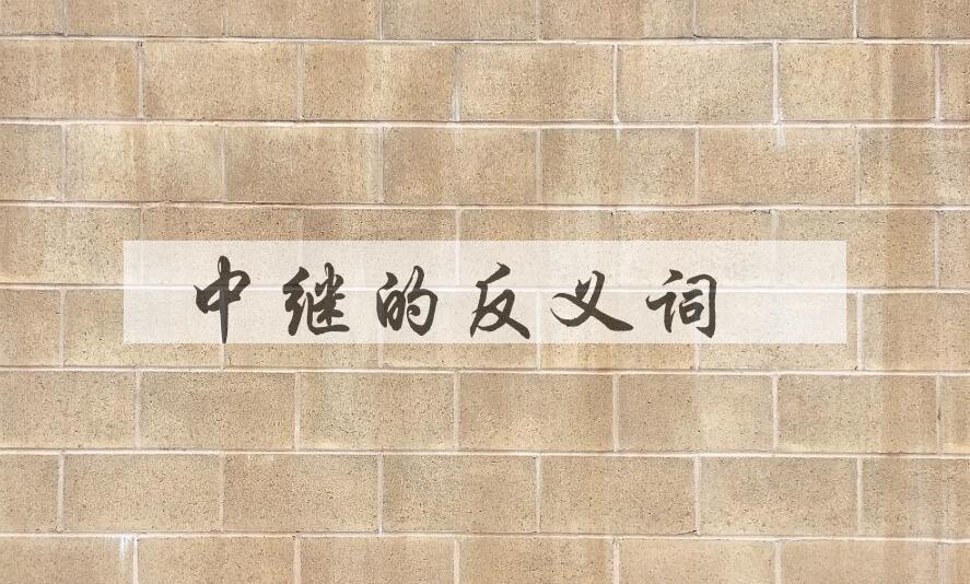 用中继造句