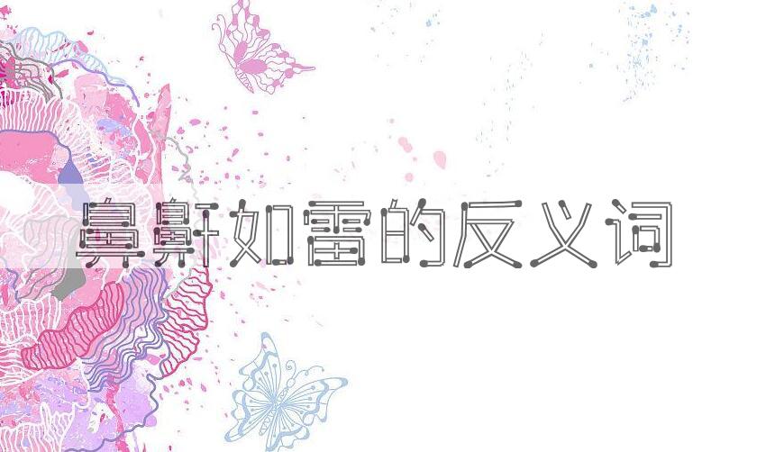 用鼻鼾如雷造句
