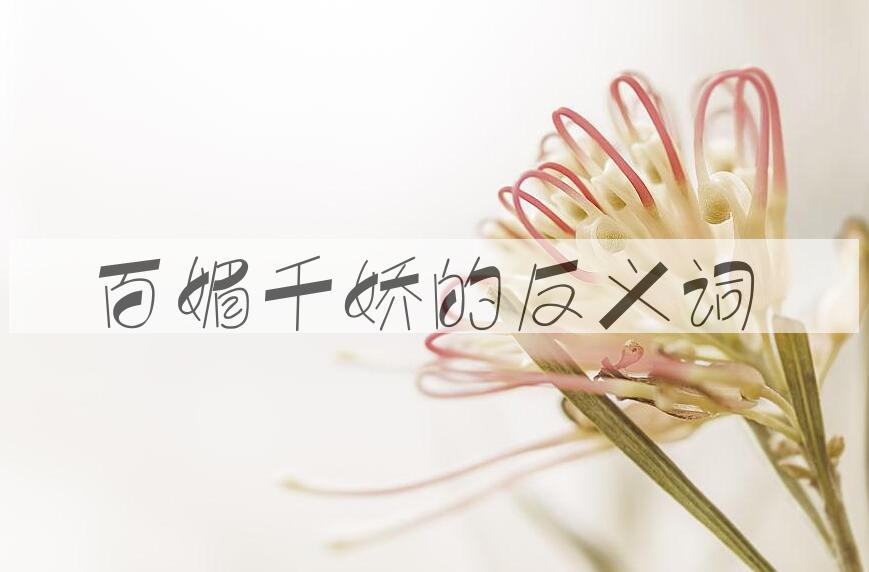 用百媚千娇造句