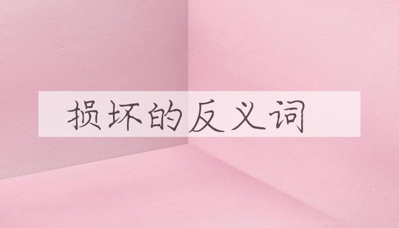 用损坏造句