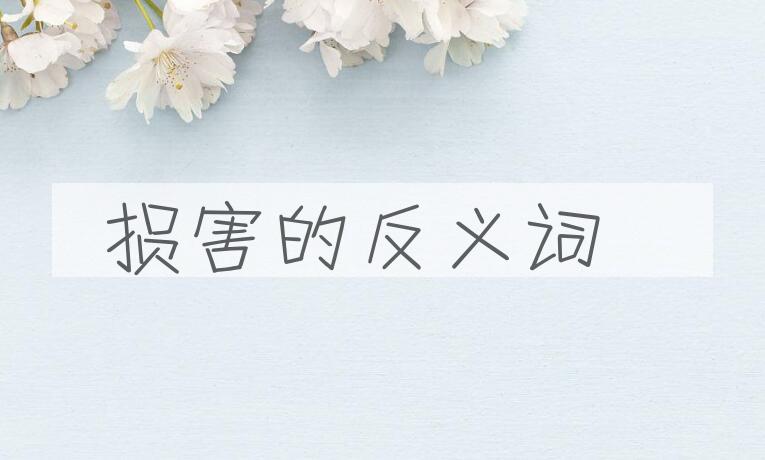 用损害造句