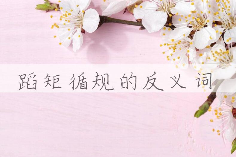 用蹈矩循规造句