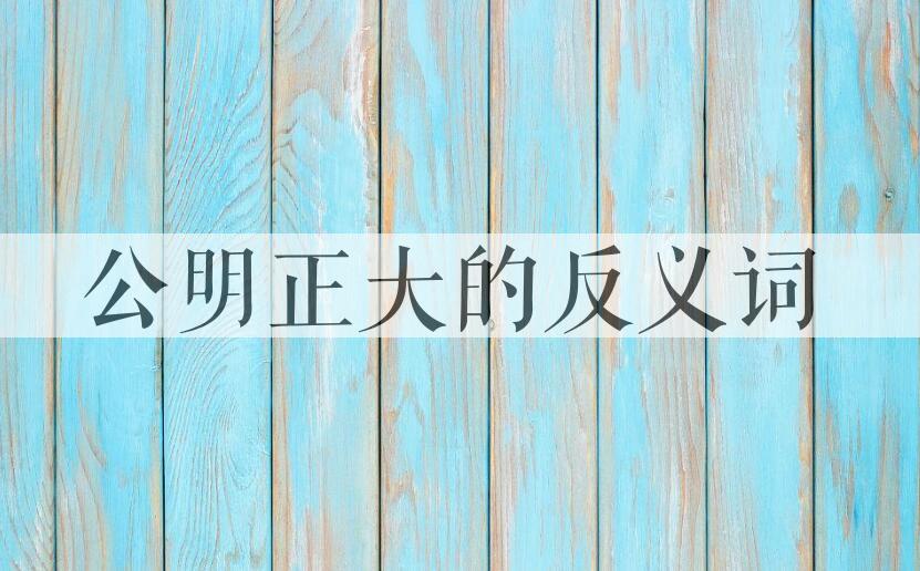 用公明正大造句