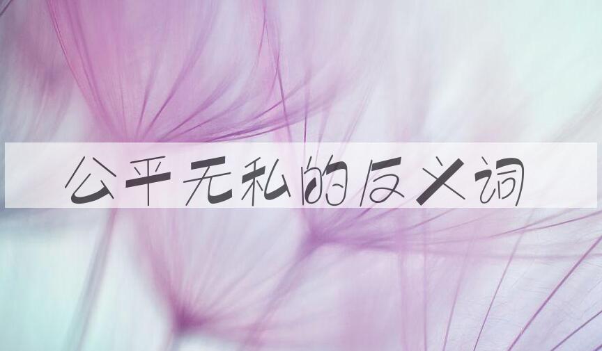 用公平无私造句