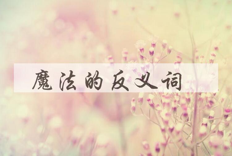 用魔法造句