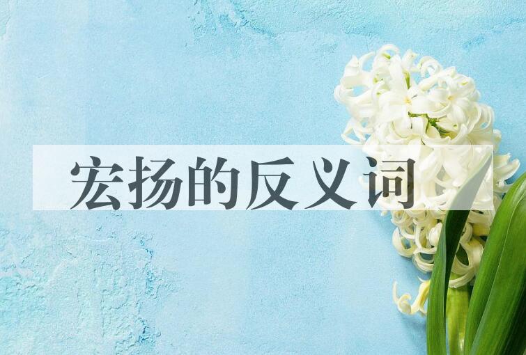 用宏扬造句