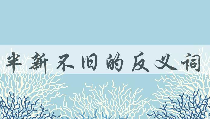 用半新不旧造句