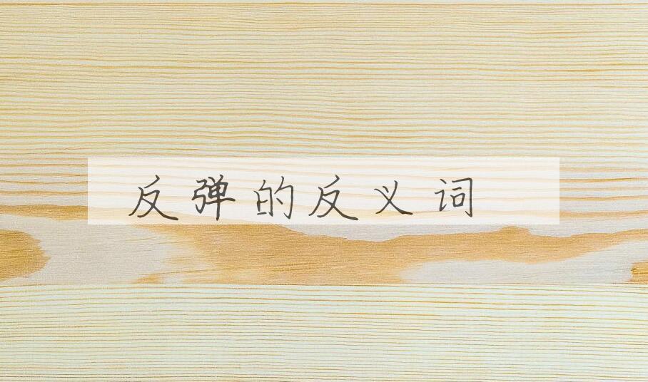 用反弹造句