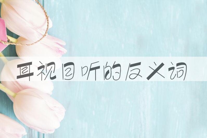 用耳视目听造句