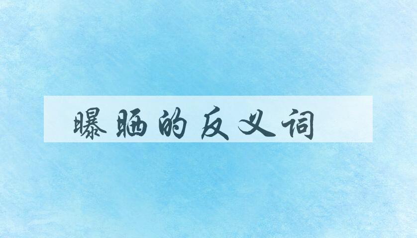 用曝晒造句