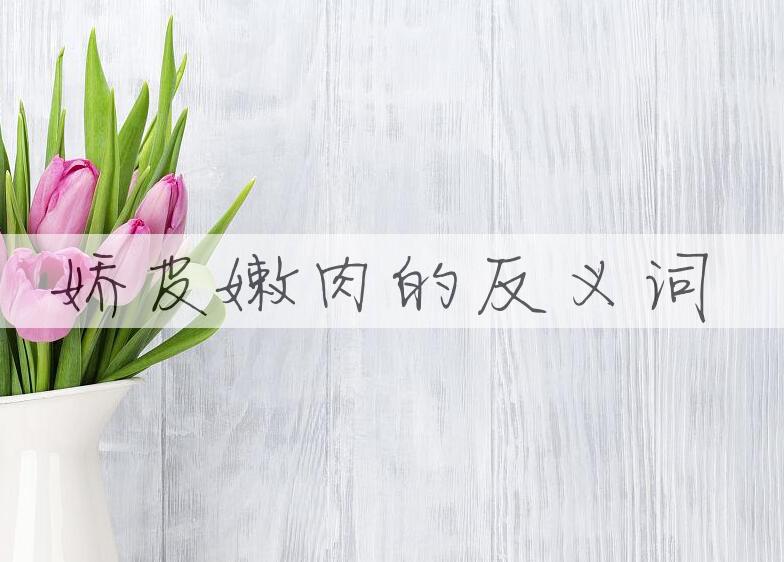 用娇皮嫩肉造句