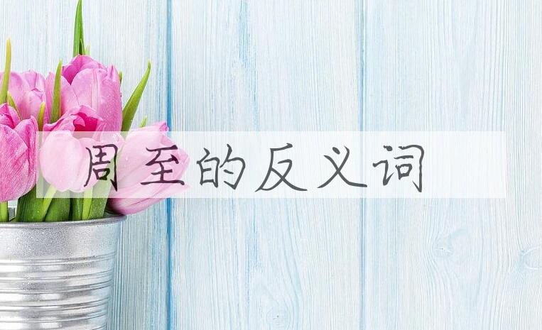 用周至造句