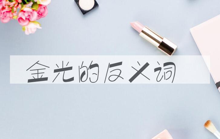 用金光造句
