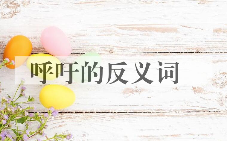 用呼吁造句
