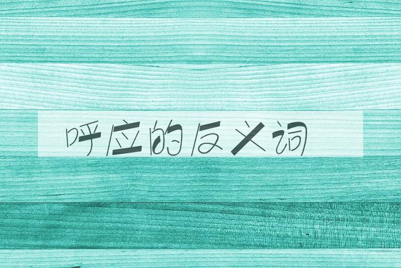 用呼应造句