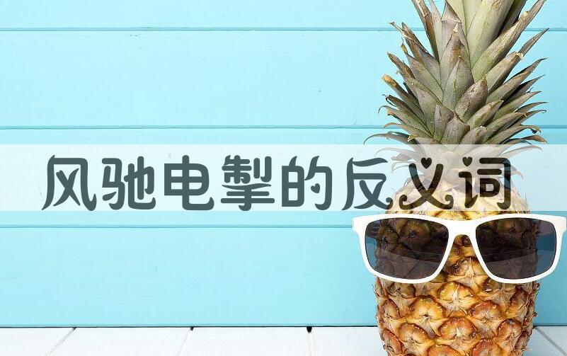 用风驰电掣造句