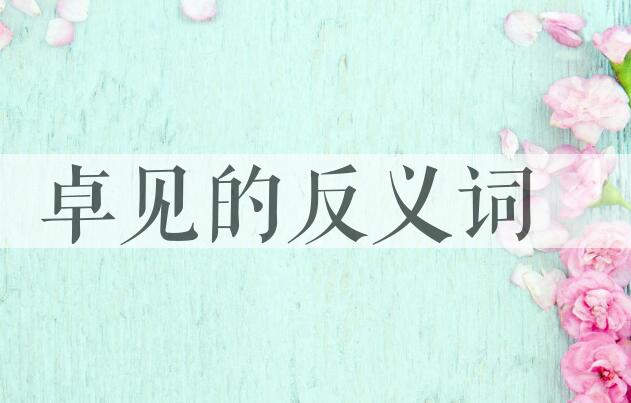 用卓见造句