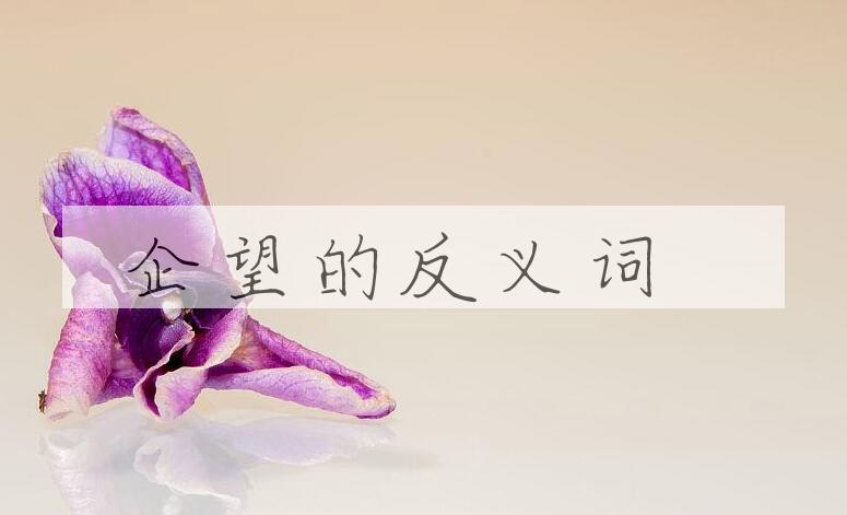用企望造句