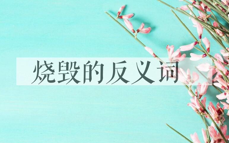 用烧毁造句
