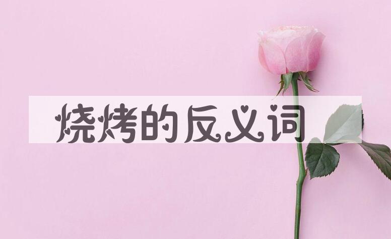 用烧烤造句