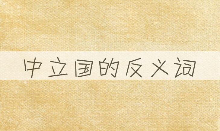 用中立国造句