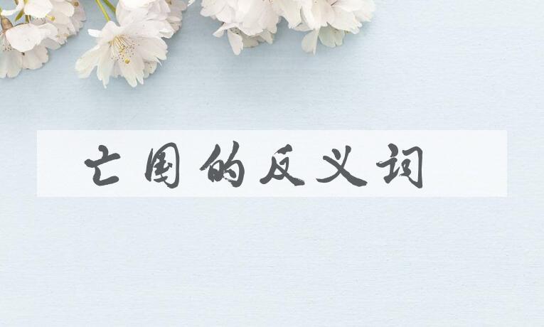 用亡国造句
