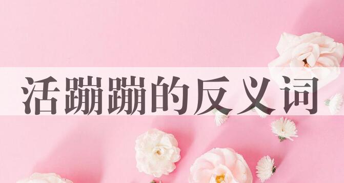 用活蹦蹦造句