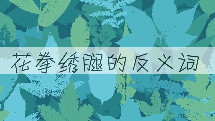 用花拳绣腿造句