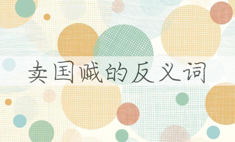 用卖国贼造句