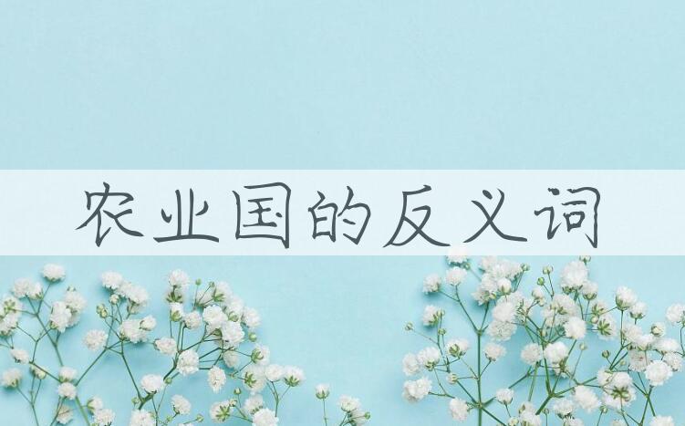 用农业国造句