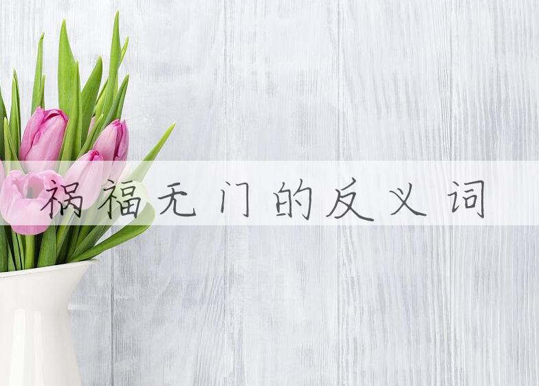 用祸福无门造句