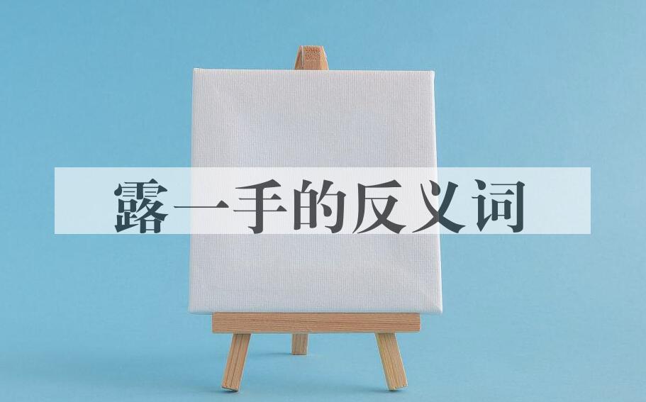 用露一手造句
