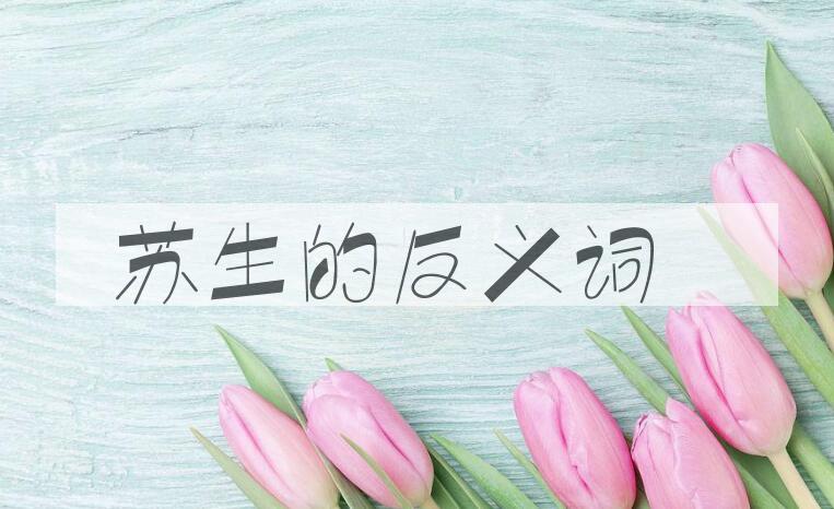 用苏生造句