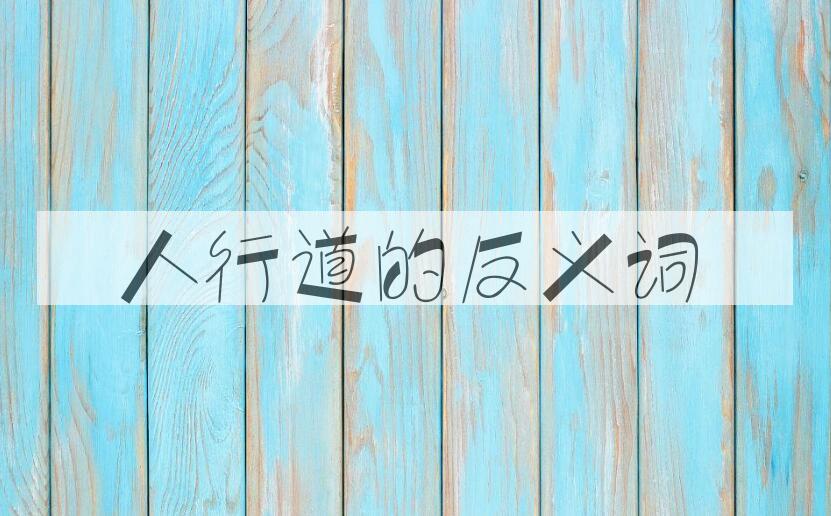 用人行道造句