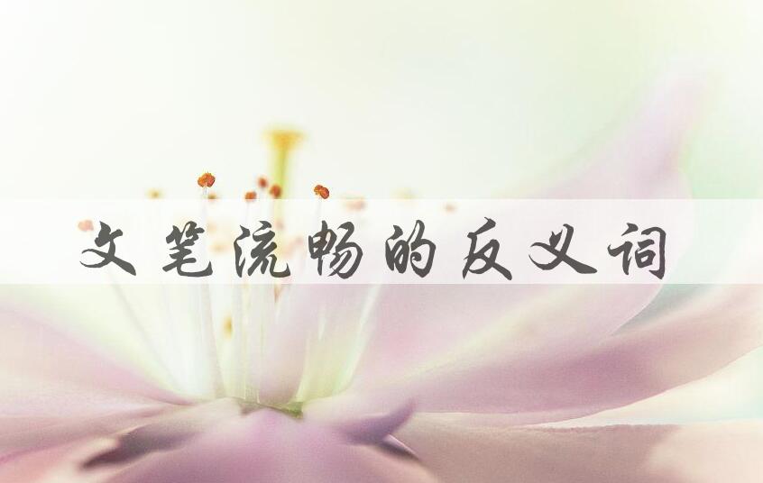 用文笔流畅造句