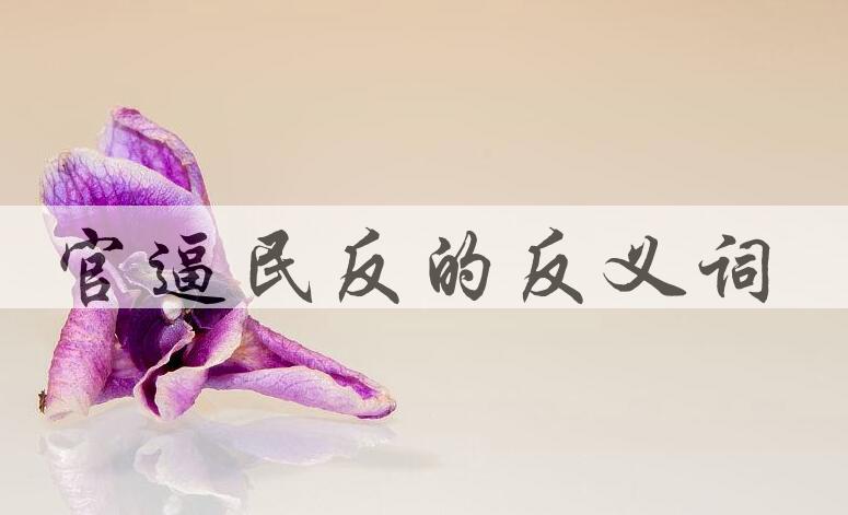 用官逼民反造句