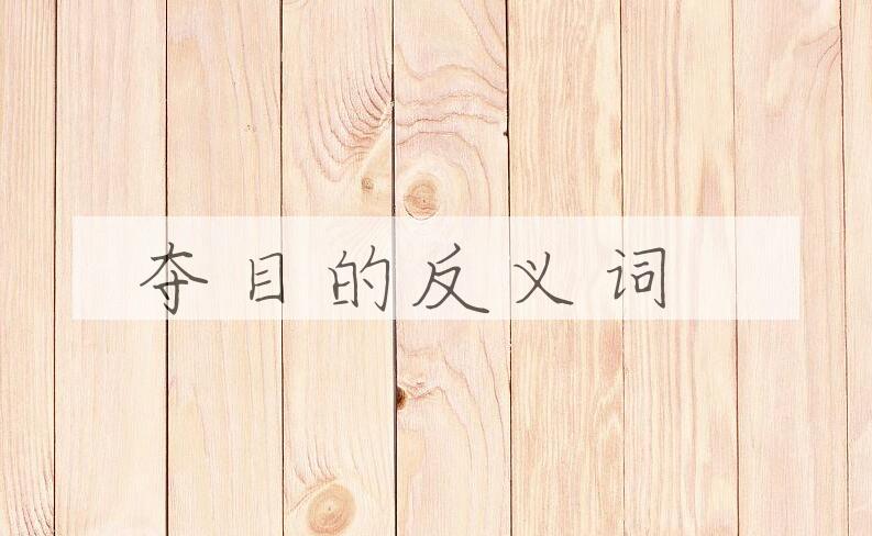 用夺目造句