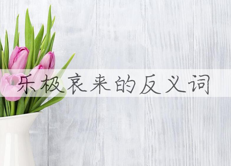用乐极哀来造句