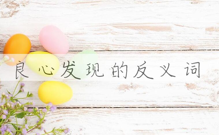 用良心发现造句