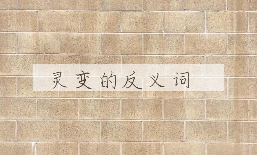 用灵变造句