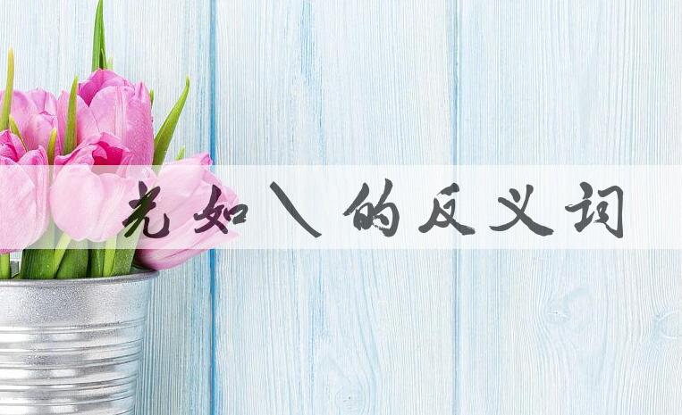 用目光如鼠造句