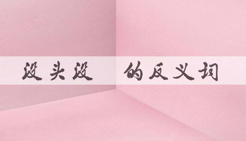 用没头没脑造句