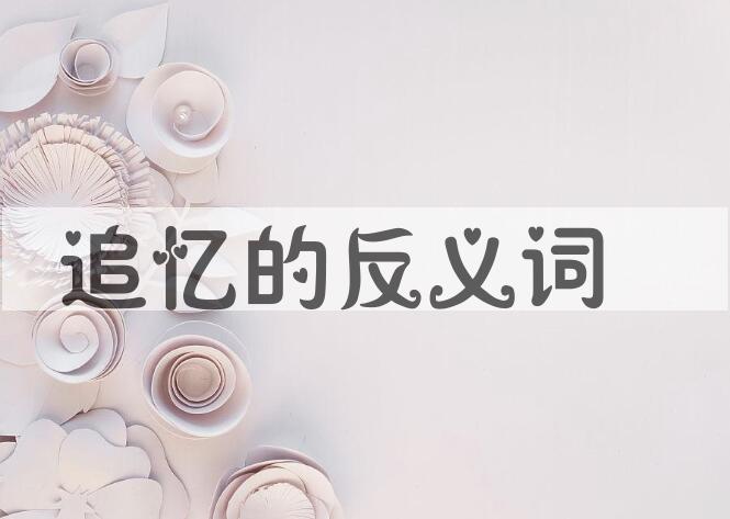 用追忆造句