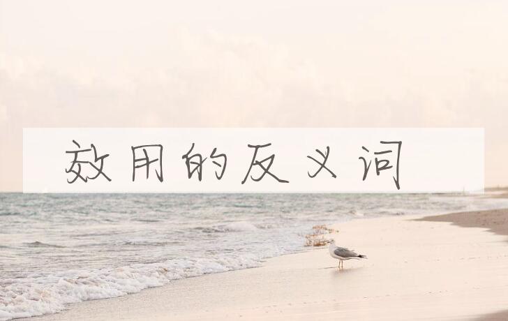 用效用造句