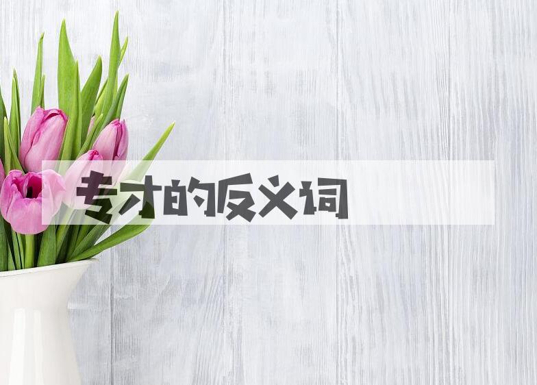 用专才造句