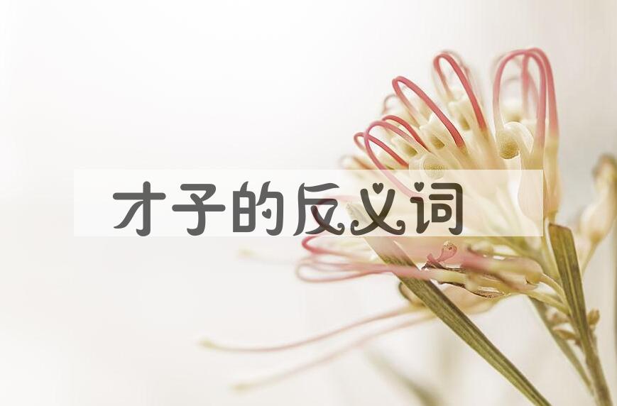 用才子造句
